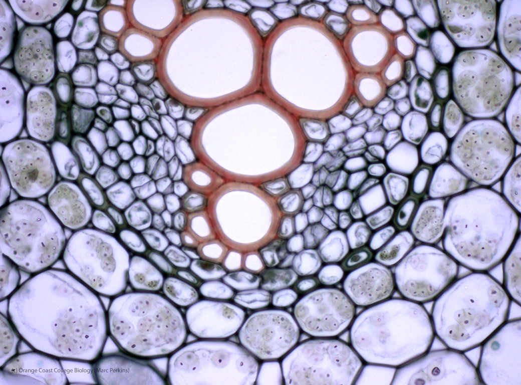 Del edupunk a la transformación de la educación: 2008-2015