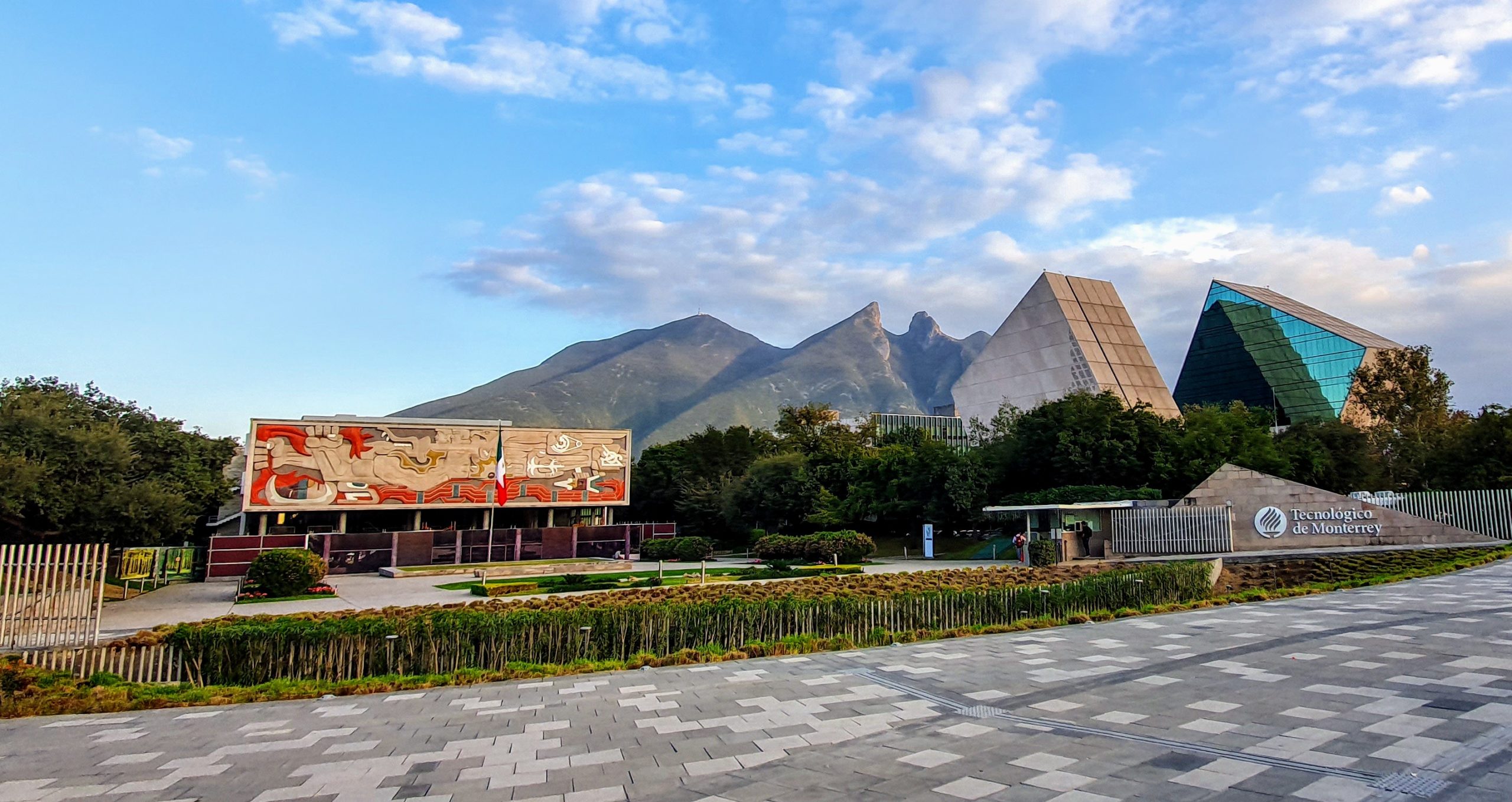 Nueva etapa profesional